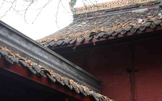 成都，一座来了就不想走的城市，但有些真相我必须告诉你