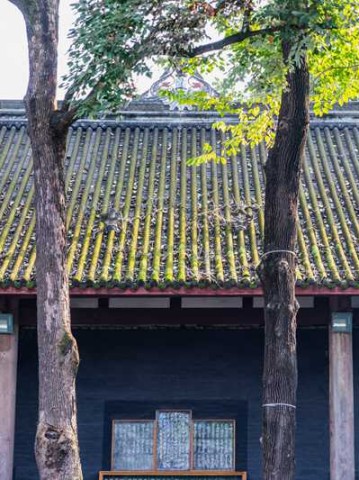 七月成都，别只晓得吃火锅！这些冷门玩法才叫巴适