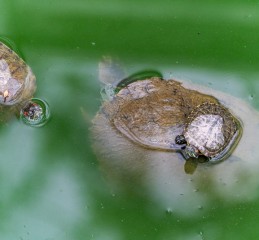 成都到青海自驾，一条通往天空与自我的公路