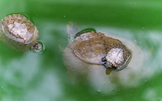 成都到青海自驾，一条通往天空与自我的公路
