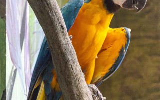 成都出发呼伦贝尔旅游攻略，从火锅到草原，跨越三千公里的治愈之旅