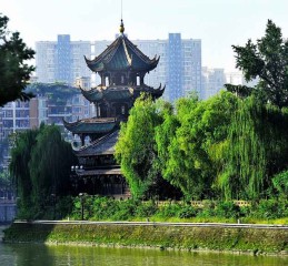 重庆成都5日游，在火锅与熊猫之间，找到生活的沸点