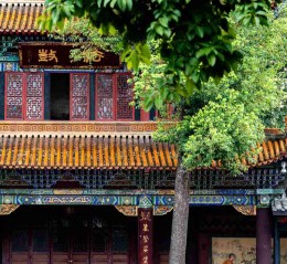 带爸妈逛成都，我差点在人民公园泡了一整天