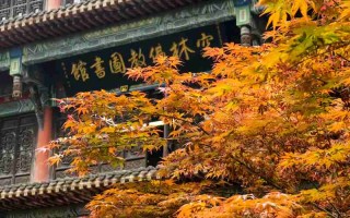 从火锅到海蛎子，一个成都吃货的大连四日流浪记