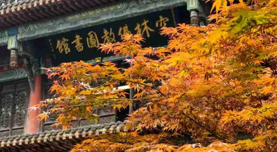 别再问成都一天能玩啥了，这份暴走攻略拿走不谢