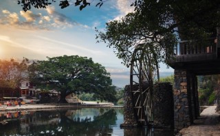 乐山大佛游江+黄龙溪古镇一日游