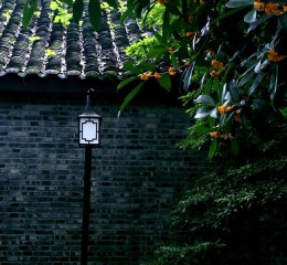 成都攻略，别只去宽窄巷子排队了，这些地方才藏着真资格的老成都