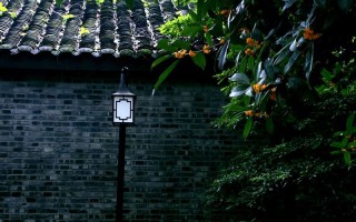 从成都飞大连，我找到了比火锅更鲜的滋味