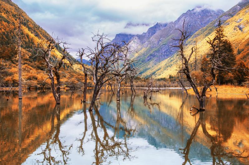 四姑娘山一日游-第2张图片-四川省中国青年旅行社